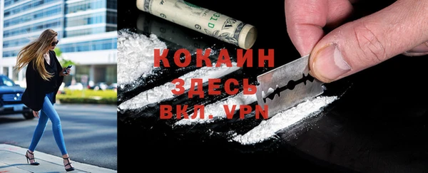 дмт Абаза
