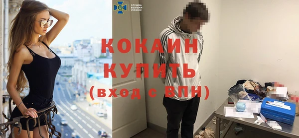 дмт Абаза
