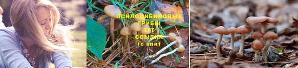 бутират Новозыбков