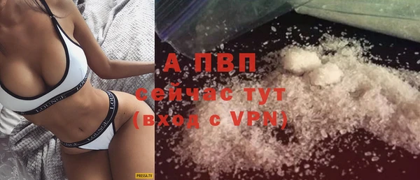 дмт Абаза