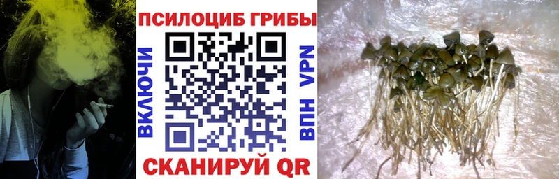 MEGA маркетплейс  Тарко-Сале  Псилоцибиновые грибы GOLDEN TEACHER 