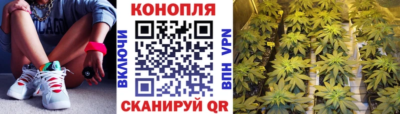 Каннабис план МЕГА ссылки Тарко-Сале